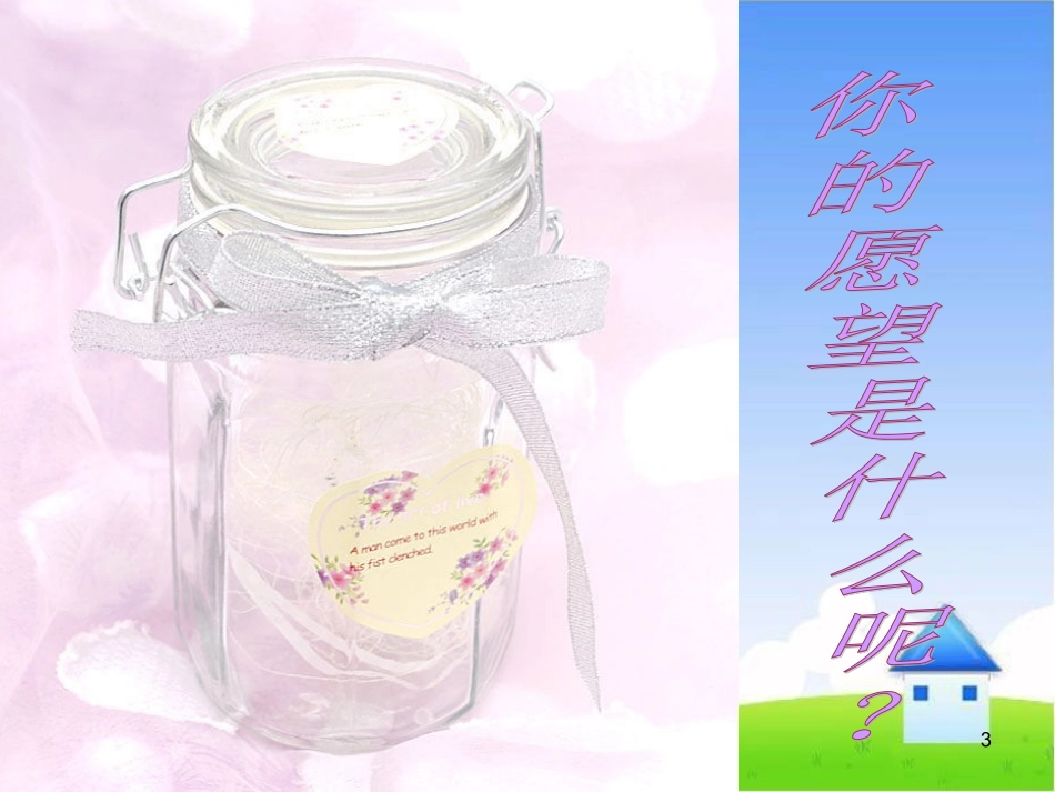 美丽的愿望教学课件_第3页