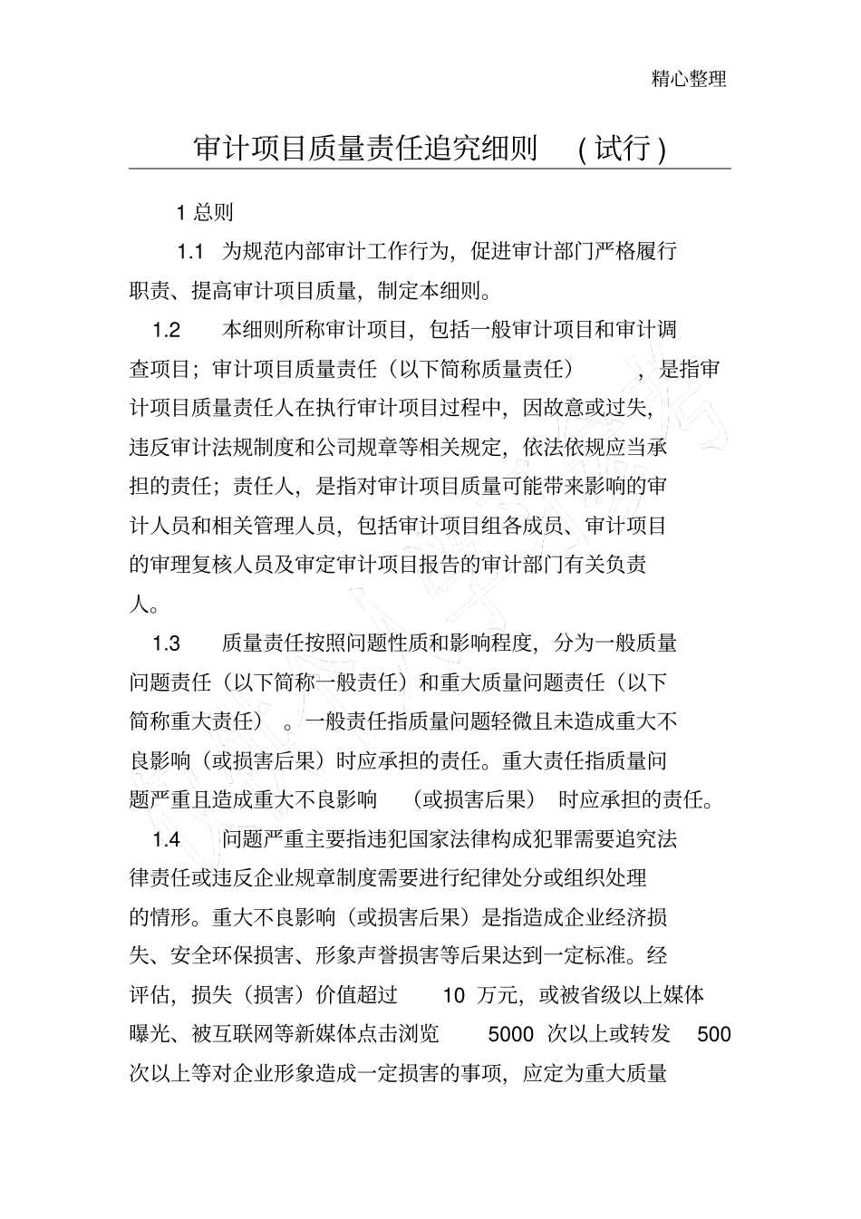 审计项目质量责任追究细则_共享版_第1页