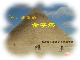 埃及的金字塔 (2)