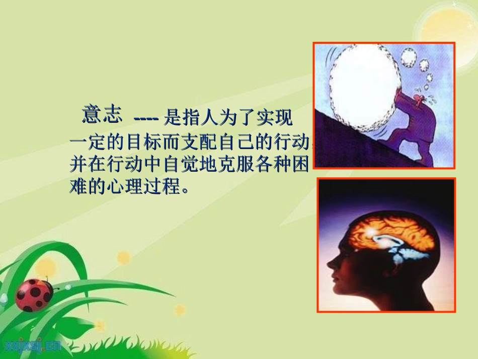 怎样培养意志品质_第3页