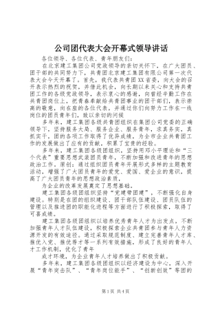 公司团代表大会开幕式领导讲话发言