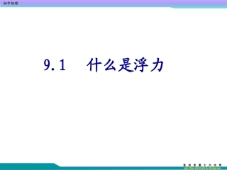 什么是浮力共张PPT