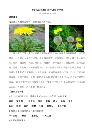 金色的草地导学案