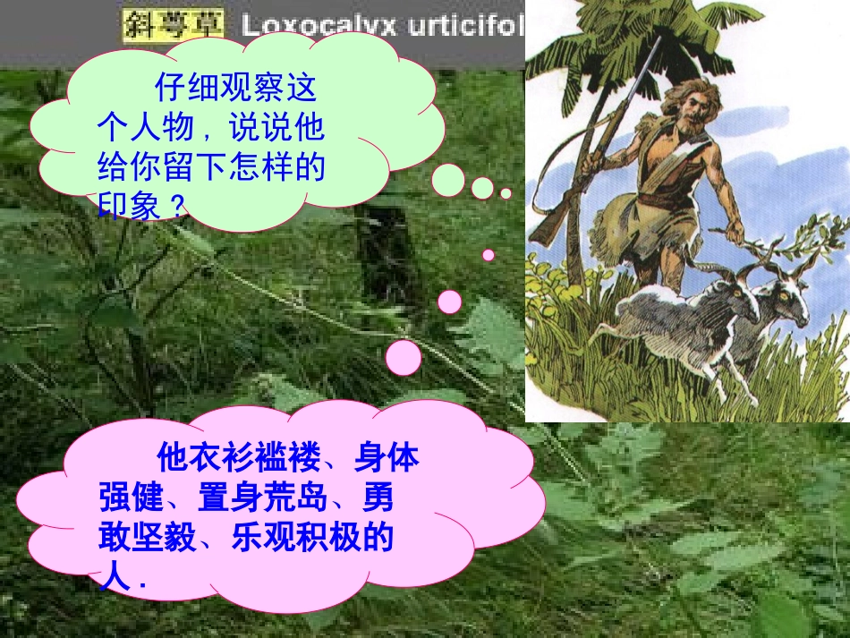 《鲁滨孙漂流记》__第3页