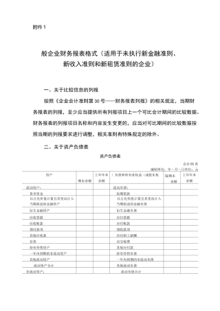 一般企业财务报表格式word版