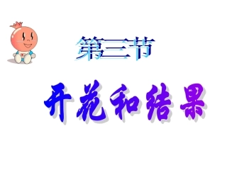 开花和结果 (3)