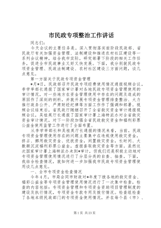 市民政专项整治工作讲话发言