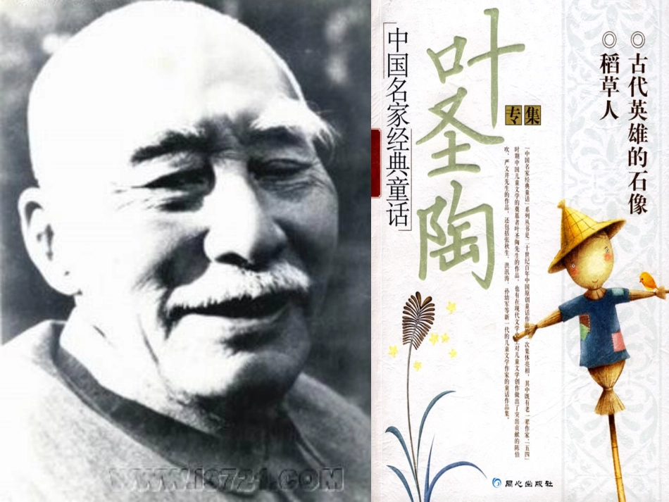 《荷花》课件_第2页