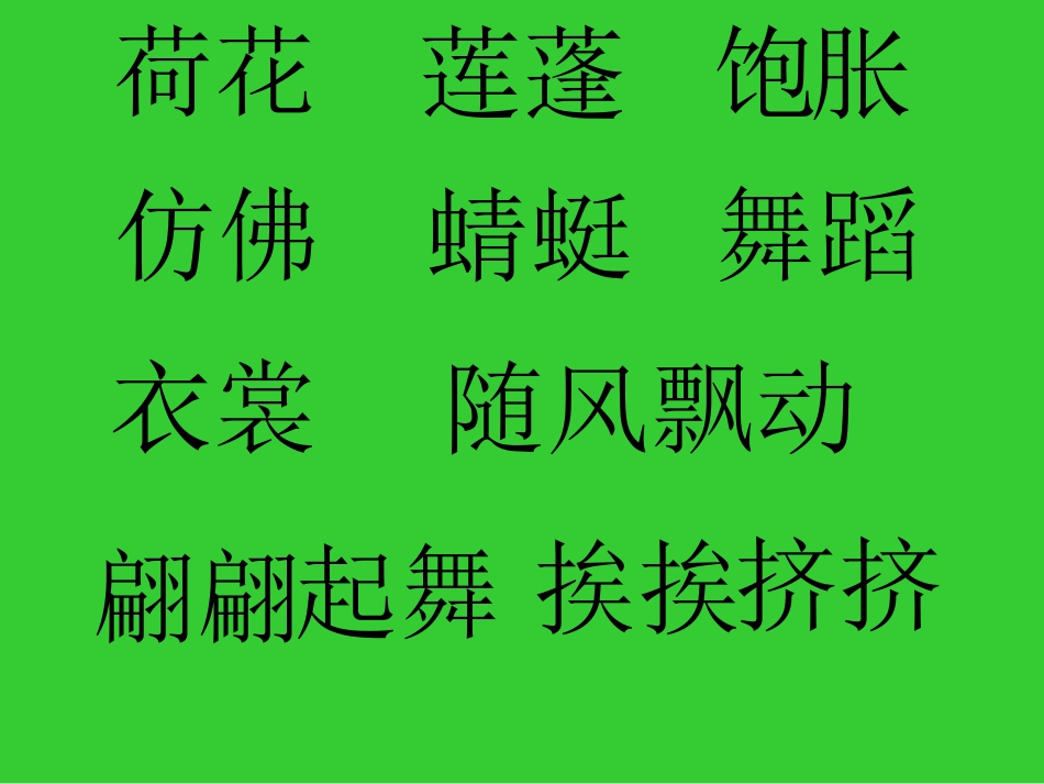 《荷花》课件_第3页