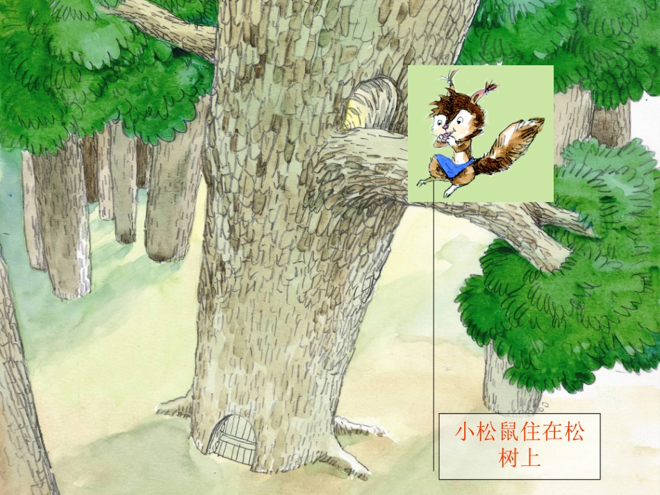 中班语言梨子提琴的课件1_第2页