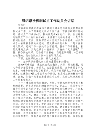 组织帮扶机制试点工作动员会讲话发言