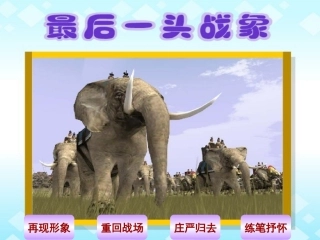 《最后一头战象》教学课件