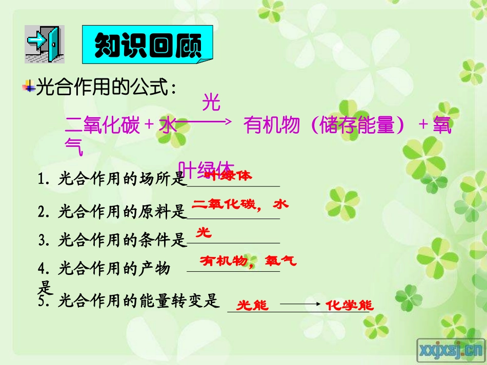 绿色植物的呼吸作用最新人教版_第2页