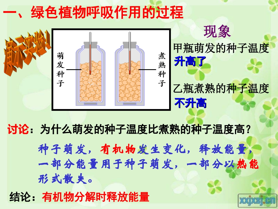 绿色植物的呼吸作用最新人教版_第3页