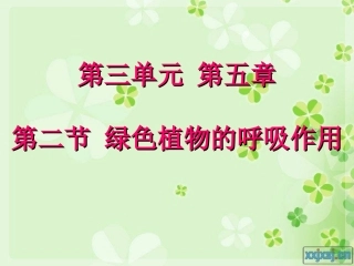 绿色植物的呼吸作用最新人教版