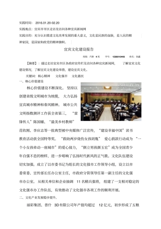 家乡文化建设社会实践报告