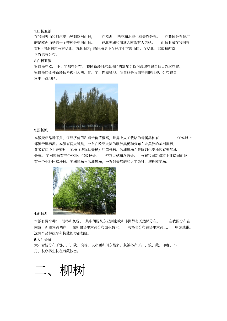 家乡的树种全解_第2页