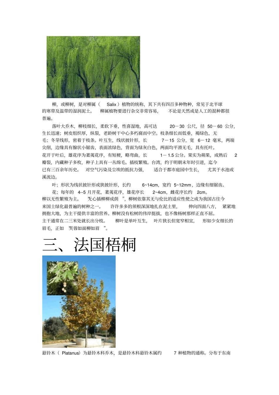 家乡的树种全解_第3页