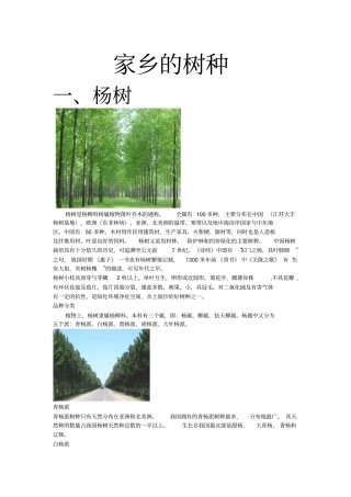 家乡的树种全解