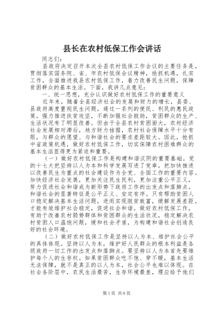 县长在农村低保工作会讲话发言