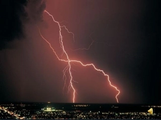 这条小鱼在乎 (2)