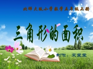 三角形的面积 (5)