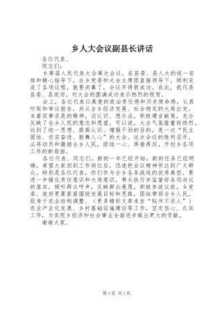 乡人大会议副县长讲话发言