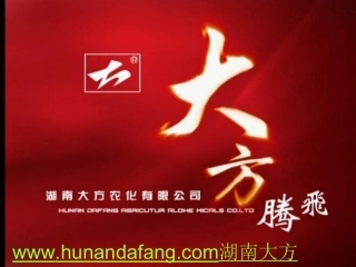 水稻生长进程