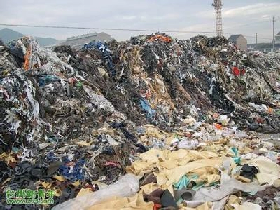 创造绿色的生活(1)_第2页