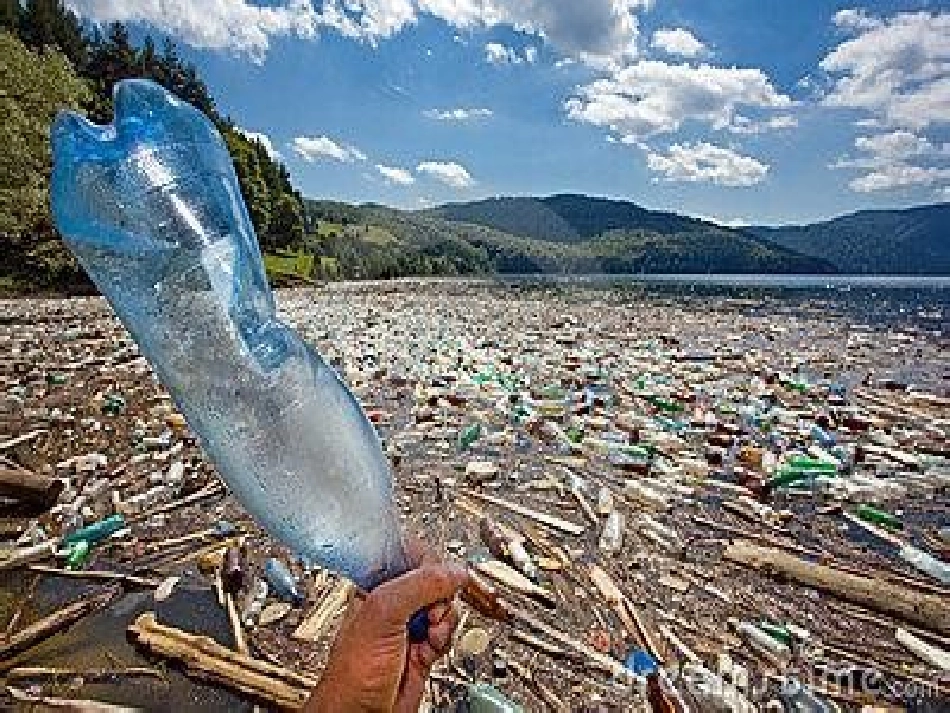 创造绿色的生活(1)_第3页