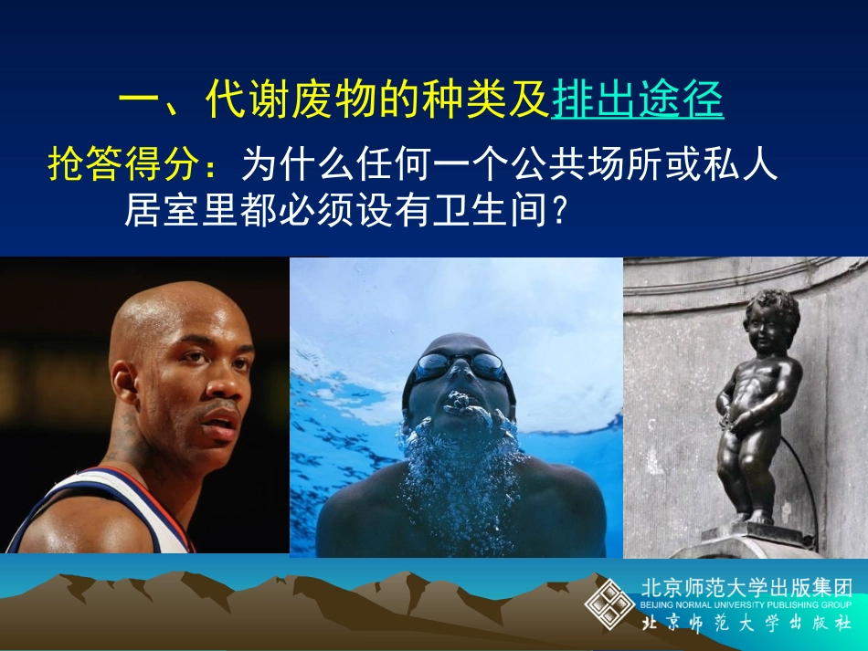 北师大生物PPT人体产生的代谢废物_第3页