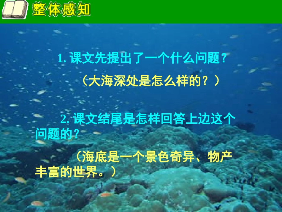 《海底世界》PPT课件_第2页