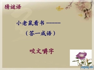 《咬文嚼字》陈
