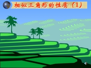 相似三角形的性质1