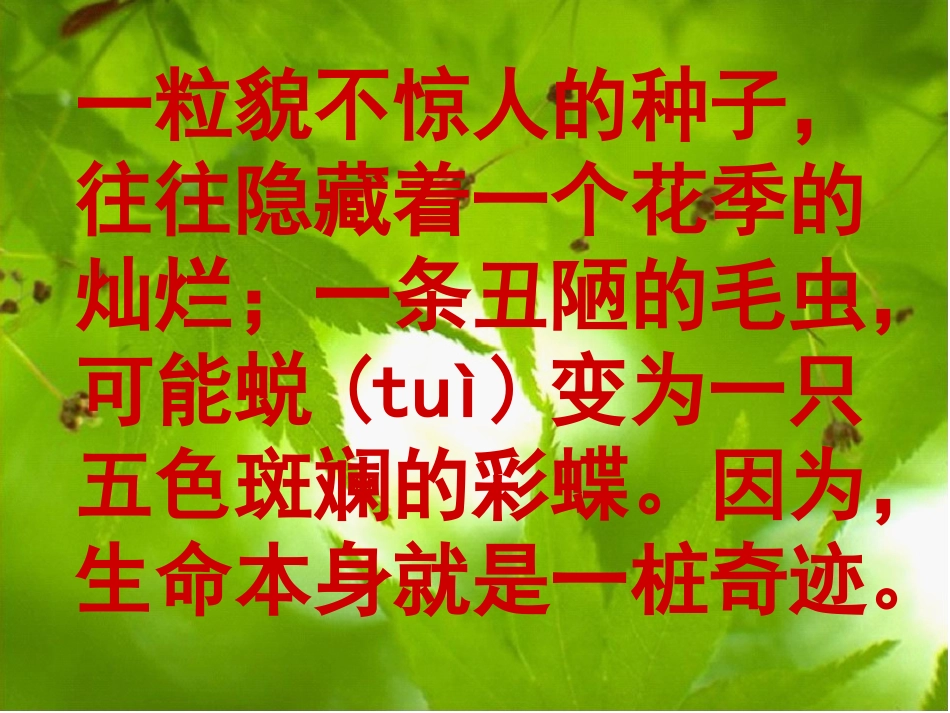 生命生命第二课时课件_第1页