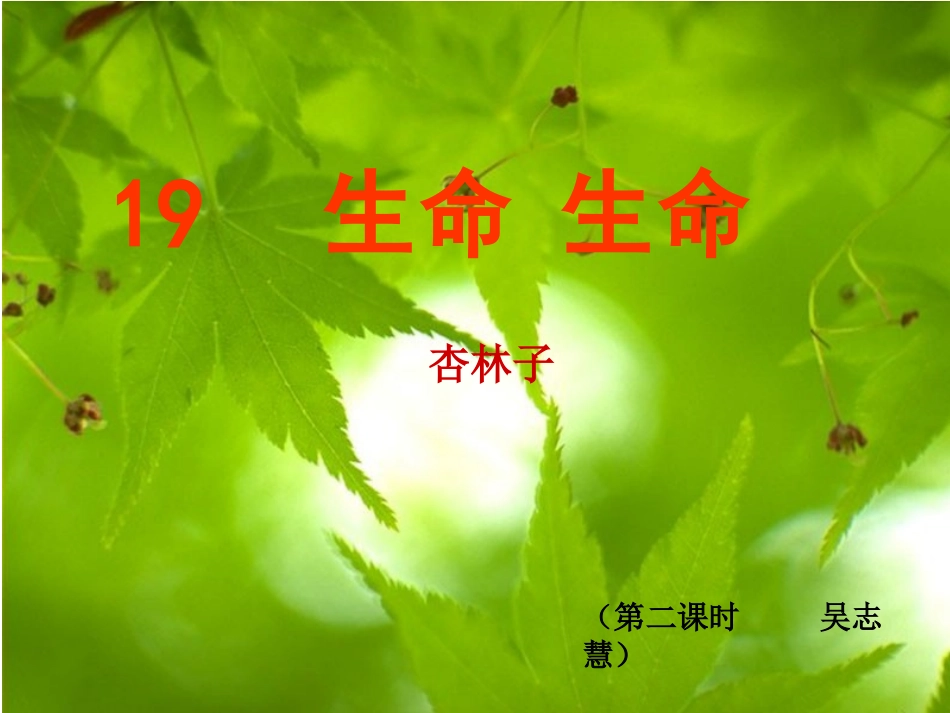生命生命第二课时课件_第2页