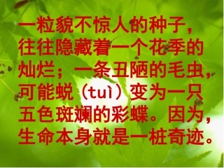 生命生命第二课时课件