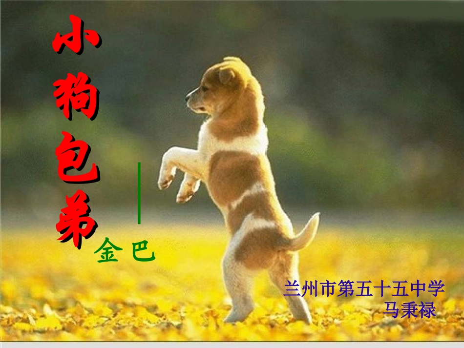 小狗包弟马秉禄_第1页