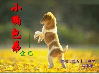 小狗包弟马秉禄