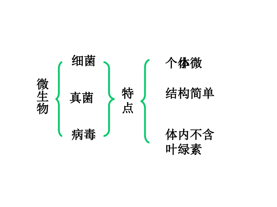 神奇的微生物 (2)_第2页