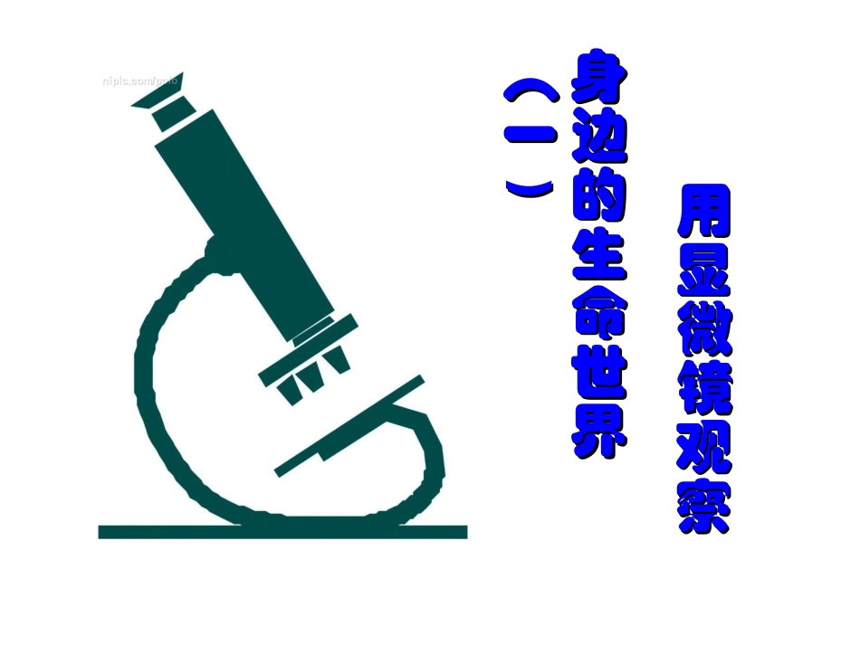 用显微镜观察身边的生命世界（一）5_第1页