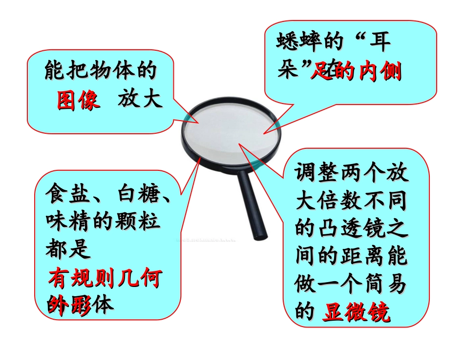 用显微镜观察身边的生命世界（一）5_第2页