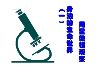 用显微镜观察身边的生命世界（一）5