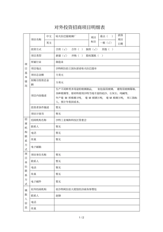 对外投资招商项目明细表