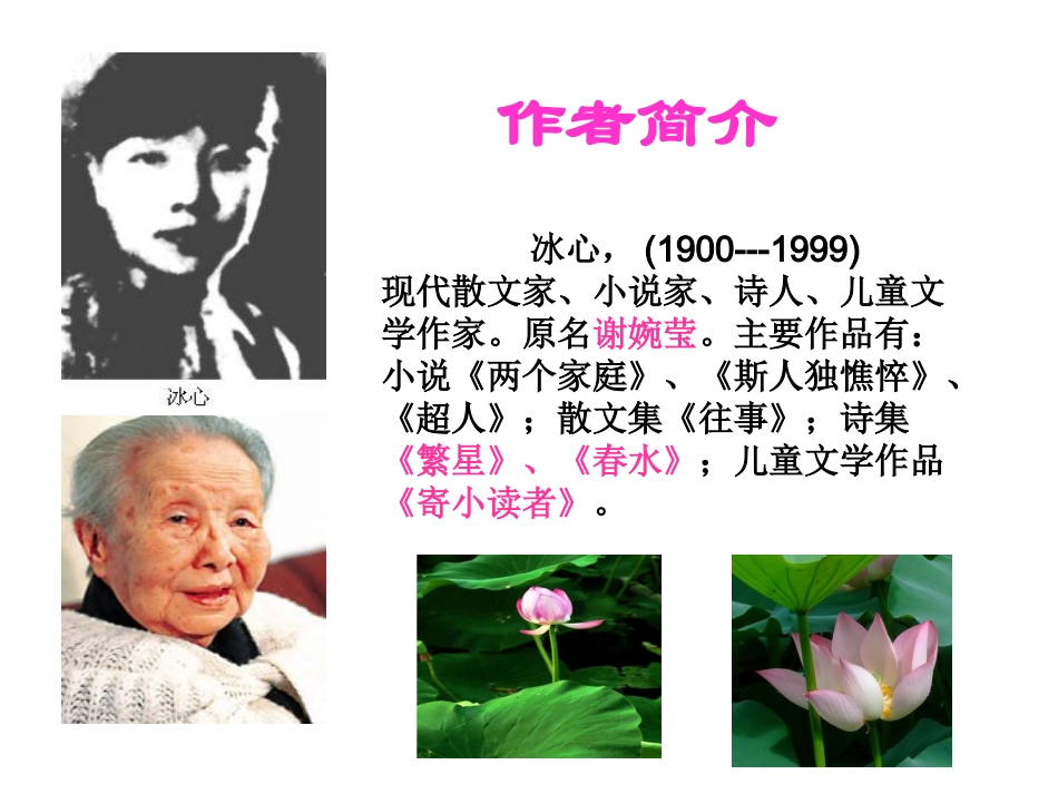 荷叶母亲课件_第3页