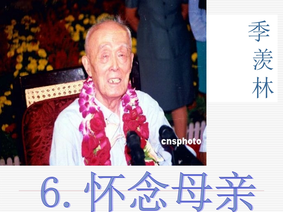 怀念母亲第二课时_第1页