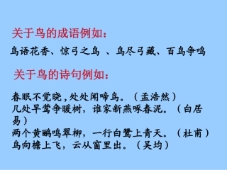 人教版五年级语文上册《珍珠鸟》PPT课件 (2)
