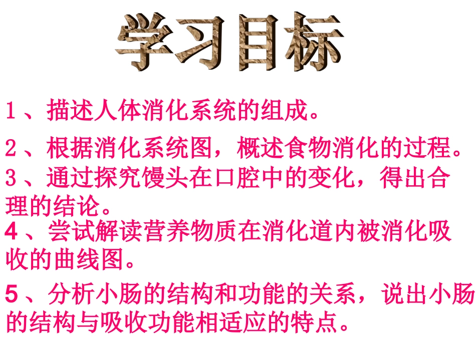 七年级生物下册：第四单元第二章第二节消化和吸收4课件_人教版_第2页