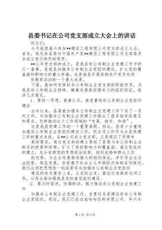县委书记在公司党支部成立大会上的讲话发言