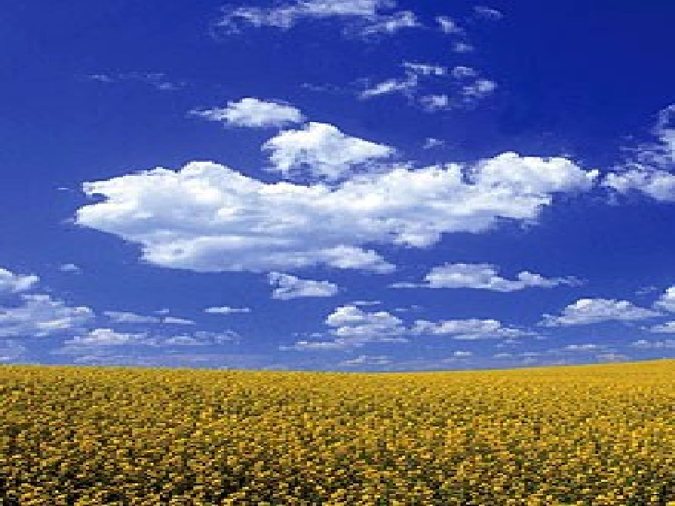 《草原》课件【26页】_第2页